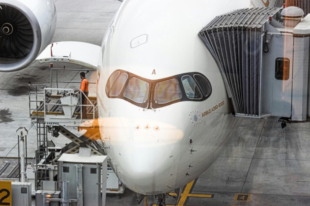 plane nose from above
